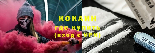 индика Абинск