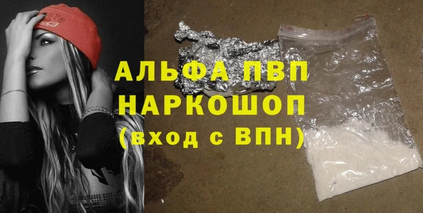 индика Абинск