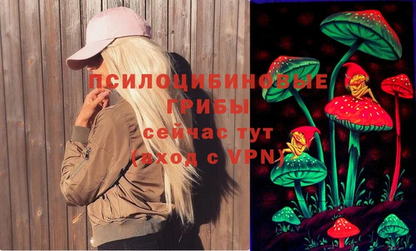 индика Абинск
